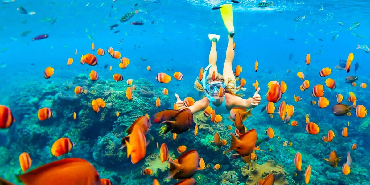 Snorkeling Tips for a Memorable Experience
